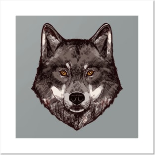 Grey Wolf Posters and Art